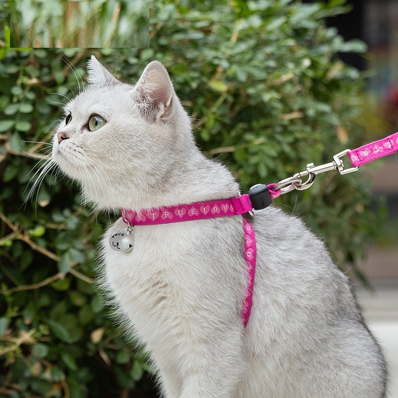 Why Your Cat Deserves the Best: Introducing the Pet Cat Bell Chest Strap Haulage Rope